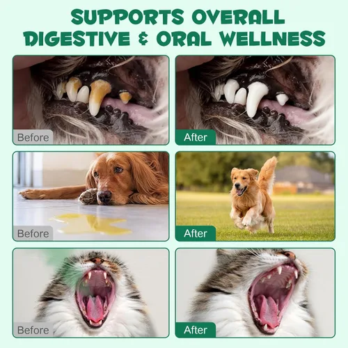 Miniatura 7 de ALIVO Polvo de carbón activado para perros, gatos, suplemento de salud en polvo de carbón activado, apoya el bienestar digestivo y la frescura oral