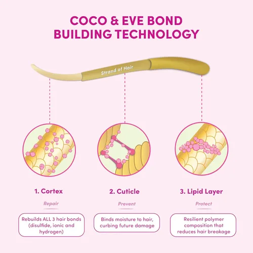 Miniatura 5 de Coco & Eve Acondicionador - Tratamiento previo al champú, 4.23 fl oz (4.2 fl oz), ayuda con la reparación de roturas del cabello dañado y seco