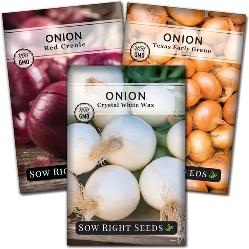 Sow Right Seeds - Colección de semillas de cebolla de día corto para plantar - Criolla roja, cera blanca cristalina, Texas Early Grano - Paquetes de