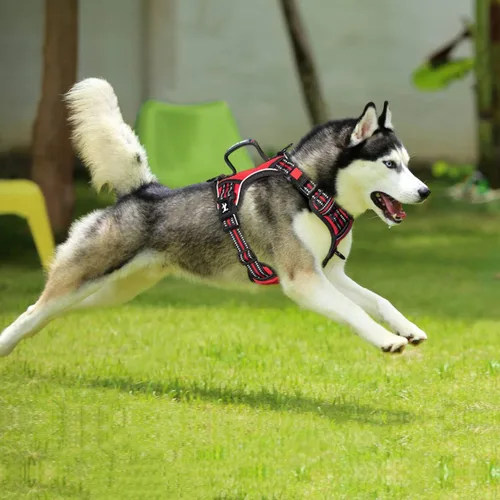 Miniatura 3 de PoyPet - Arnés para perro sin tirones, pechera reflectante con clip frontal, chaleco para mascotas sin estrangulamiento con asa vertical acolchada
