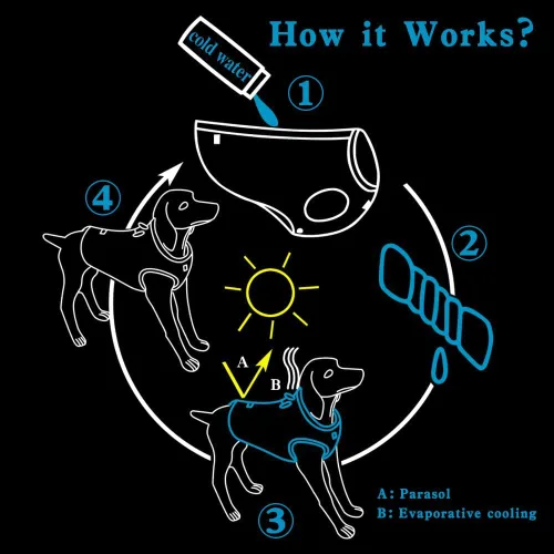 Miniatura 2 de JUXZH Truelove - Chaleco de refrigeración para perro, chaqueta enfriadora con cremallera ajustable para entrenamiento de caza al aire libre