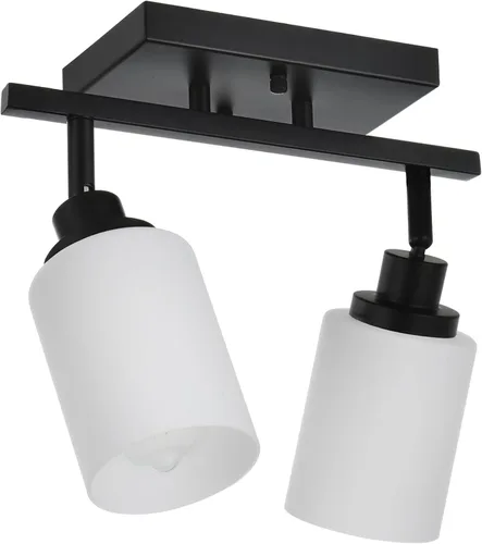 Miniatura 13 de TODOLUZ Luminarias de Riel de 2 Luces Aplique de Pared, Foco de Níquel Cepillado para Cocina Sala de Estar Comedor Pasillo, Base de Bombilla E26