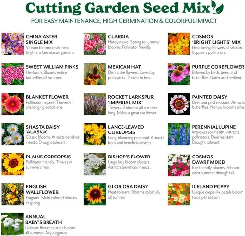 Miniatura 3 de Cultiva tu propia mezcla vibrante de semillas de jardín de flores silvestres anuales y perennes, variedades para polinizadores y jardines de Mezcla