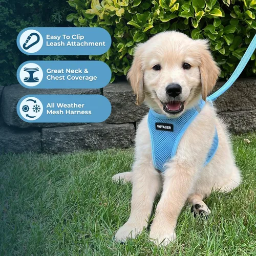 Miniatura 3 de Best Pet Supplies - Arnés de malla para todo tipo de clima, reflectante, antitirones, para perros y gatos pequeños y medianos, con cierre de velcro