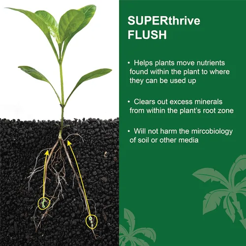 Miniatura 4 de Dyna-Gro Dyna-Flush 8oz