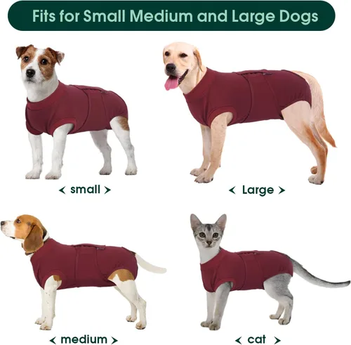 Miniatura 3 de Kuoser Traje de recuperación de cirugía para perros, traje de recuperación para perros machos hembras, mameluco para perro después de la cirugía