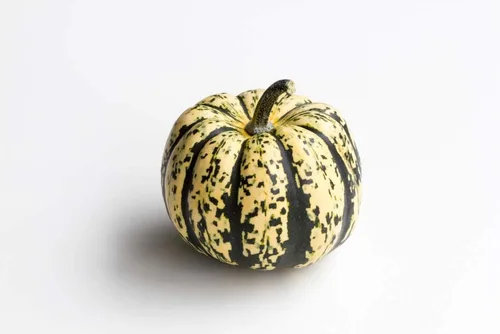 Miniatura 5 de Semillas de calabaza de invierno Sweet Dumpling para plantar, más de 50 semillas de reliquia por paquete, semillas de jardín de Isla