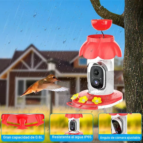 Miniatura 5 de Comedero de colibrí con cámara, comedero inteligente inalámbrico para pájaros para ver video al aire libre, cámara AI con videos de captura