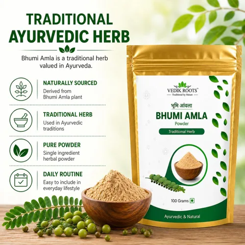 Miniatura 3 de Polvo orgánico de Bhumi Amla – Rico en Vitamina C Antioxidante – Apoya la Función Inmune Saludable 100 Gm (Paquete de 2)