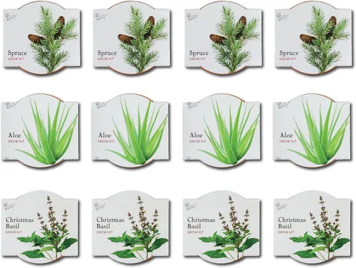 Miniatura 2 de BUZZY Seeds Radiant Collection - Paquete de 12 – Kit de iniciación de semillas de terracota todo en uno para hierbas, suculentas y árboles, incluye