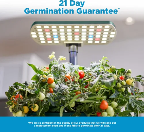 Miniatura 7 de AeroGarden Harvest Lite en Verde, Jardín hidropónico interior libre de suelo con luz LED de cultivo para jardinería de hasta 6 hierbas y vegetales