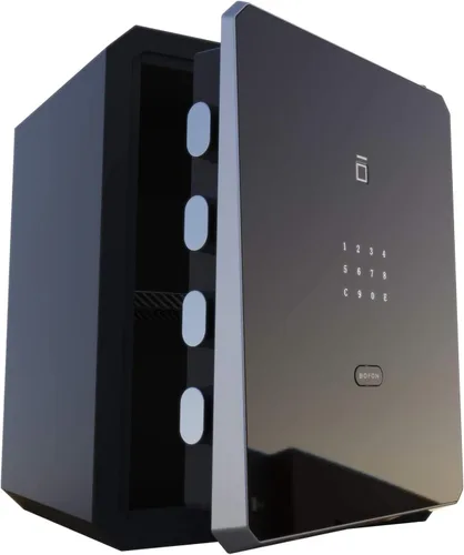 Caja fuerte para el hogar, caja fuerte con contraseña de huellas dactilares con llave, gabinetes SafeBox para el hogar, caja de seguridad, caja 2.1