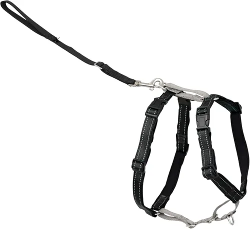 Miniatura 10 de PetSafe Arnés 3 en 1 – Cómodo arnés de pecho para perro fácil de caminar con accesorio de correa frontal para reducir tirones, asfixia y arcadas