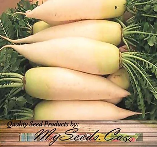 Miniatura 6 de Paquete grande - Semillas sin transgénicos de MySeeds.Co