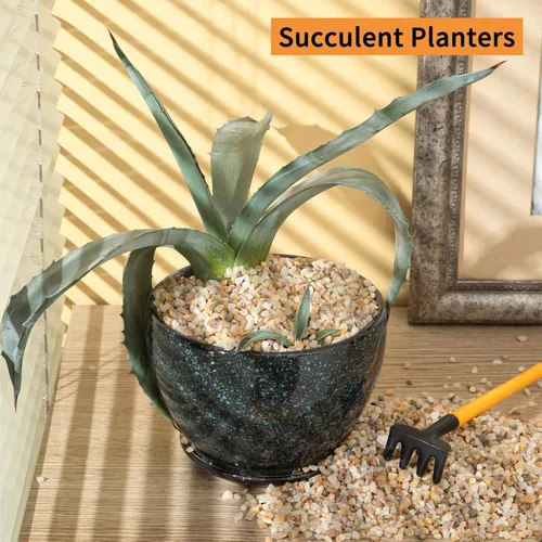 Miniatura 5 de Rocas de arena mixta de 5 libras, piedras pómez, enmienda de suelo para macetas, cactus suculentos, bonsái, roca arenosa, grava decorativa