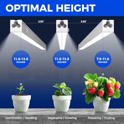 Miniatura 3 de Barrina Luces de cultivo T5 para plantas de interior, espectro completo de 5000 K, lámpara LED de cultivo de 1 pie, tira de luz para plantas