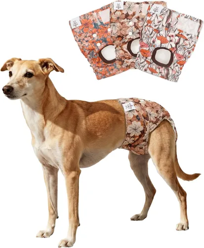 Miniatura 20 de CuteBone D36L - Pañales para perras, paquete de 3 unidades, tamaño L, D36L