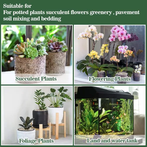 Miniatura 6 de Piedra Pómez Hortícola Sukh - Piedra Pómez para Plantas Suculentas Cactus Bonsái Orquídea Enmienda de Suelo 410g