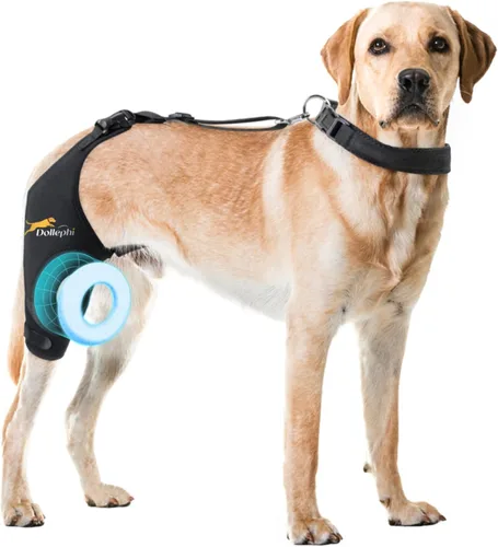 Miniatura 9 de Rodillera para perro para pierna trasera desgarrada del ligamento cruzado anterior, compresión caliente/fría para luxación de rótula u