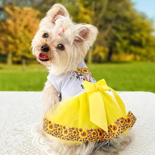 Miniatura 2 de Vestido de perro para perros pequeños, ropa de disfraz de cachorro, ropa para mascotas, ropa de verano y primavera, vestidos de Chihuahua Yorkie