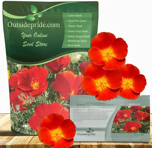 Outsidepride Red Chief Semillas de amapola de California para plantar, 1/4 libras. Semillas anuales, tolerantes a la sequía y fáciles de cultivar
