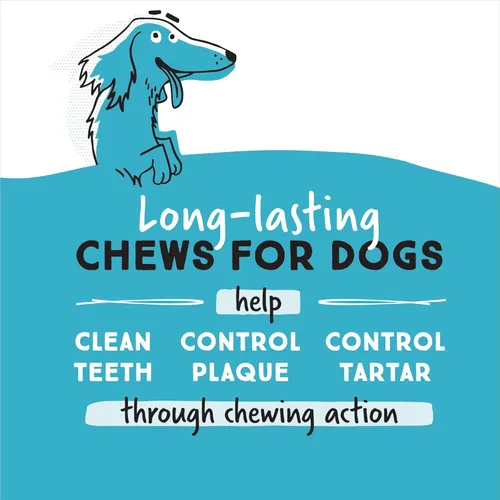 Miniatura 2 de Ultra Chewy Huesos de Doble Golosina de Tocino y Queso: golosinas duraderas para perros fabricadas en Estados Unidos para razas grandes y pequeñas