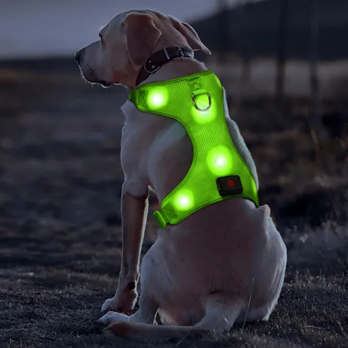Miniatura 4 de Domi - Arnés de perro con luz, recargable por USB, chaleco reflectante para perro, sin tirar, con un cómodo cha acolchado para perros pequeños