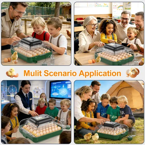 Miniatura 7 de Incubadora de 30 huevos para incubar huevos con giro automático de huevos, pantalla de temperatura y humedad de alta precisión, día de escotilla