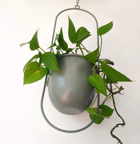Miniatura 4 de RISEON Colgador de Plantas de Metal Verde Boho, Maceta Colgante de Metal para Pared y Techo, Maceta Moderna, Soporte de Maceta de Flores de Mediados