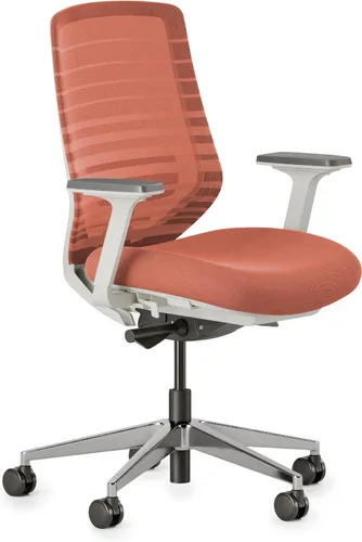 Miniatura 10 de Silla ergonómica Branch - Una silla de escritorio versátil con soporte lumbar ajustable, respaldo de malla transpirable y ruedas suaves - Grafito