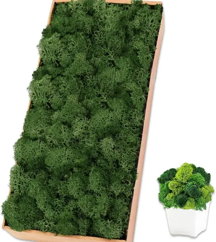 Musgo de reno preservado, 17.6 onzas, verde oscuro natural para manualidades, regalo de bricolaje, decoración de Navidad, arte de pared, plantas en