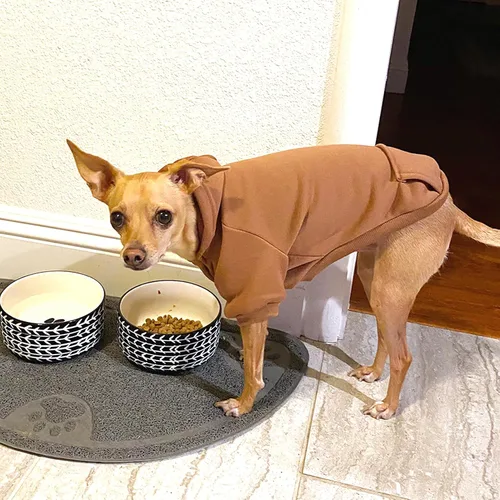Miniatura 3 de Jecikelon - Sudadera con capucha y bolsillos, cálida para invierno, para perros pequeños, ropa de abrigo para chihuahuas, disfraz para cachorros