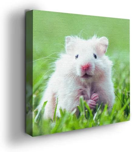 Miniatura 7 de Mavis Print - Lienzo decorativo para pared con diseño de conejo/conejo, 36 x 36 pulgadas, decoración de pared de animales impresos en HD y marco
