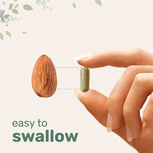 Miniatura 5 de Micro Ingredients Resveratrol NAD Complex 3,000 mg para mujeres y hombres, 240 cápsulas vegetales Alternativa de suplemento NMN Mezcla 11 en 1