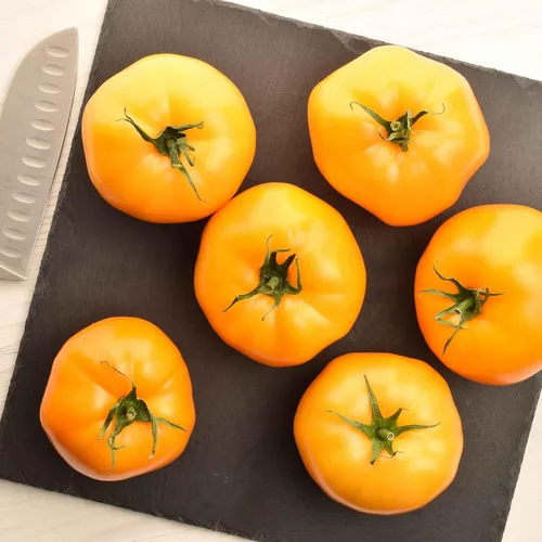 Miniatura 39 de Eden Brothers Semillas de tomate – Semillas de caqui sin OMG para plantar, paquete Semillas de vegetales de bajo mantenimiento, plantas durante