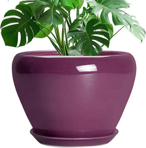 Miniatura 74 de Maceta de Cerámica Moderna con Esmalte para Suculentas con Agujero de Drenaje y Platillo, Maceta Redonda de 6 Pulgadas para Plantas de Flores
