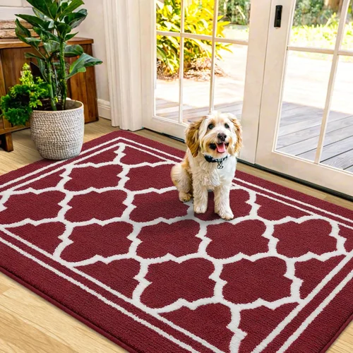 Miniatura 20 de Buganda Alfombra para Puerta Interior, Felpudo Resistente a la Suciedad y Absorbente, Antideslizante, Alfombras de Perfil Bajo para Entrada Marrón