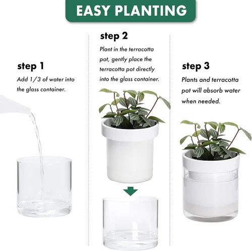 Miniatura 7 de Maceta Phoenix Vine de 6 Pulgadas 4 Pulgadas de Auto-Riego, Macetas de Arcilla de Terracota Blanca con Depósito de Vidrio para Plantas
