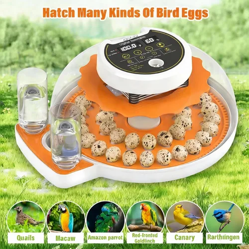 Miniatura 7 de Quail Egg Incubator with Automatic Turner and Humidity Control,Bird Incubator Capable of Hatching 40 Quail Eggs, Poultry Egg Incubators with an