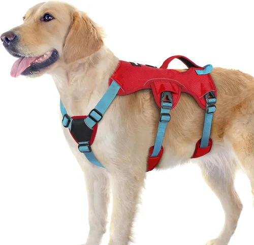 Miniatura 53 de rabbitgoo - Arnés para perro a prueba de fugas, arnés para mascotas acolchado suave de cuerpo completo, chaleco reflectante ajustable sin tirones