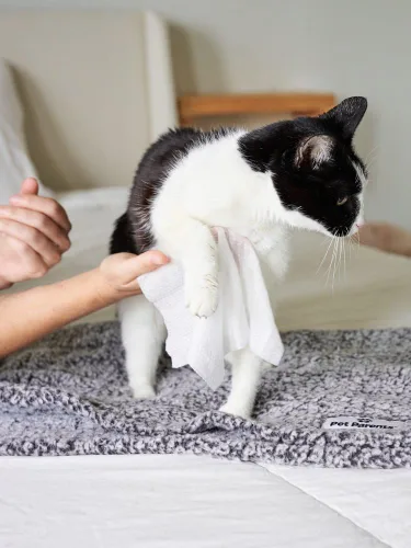 Miniatura 9 de Toallitas para gatos de todo uso Pet WiPees™ – 100 Toallitas de baño diarias para gatos, Toallitas naturales para gatos para orejas, pelaje