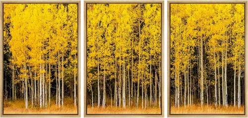 Miniatura 31 de wall26 Lienzo enmarcado para pared, juego de arte de noche estrellada sobre montañas, cielo nocturno tranquilo, naturaleza, desierto, fotografía