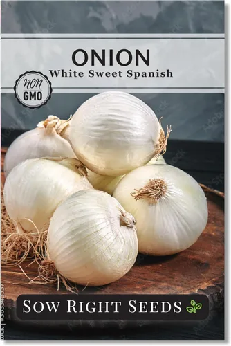 Sow Right Seeds - Semillas de cebolla española dulce blanca para plantar - Variedad de reliquia sin OMG - Ideal para exteriores - Cultiva deliciosas