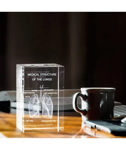 Miniatura 6 de Ultrassist Modelo 3D de Pulmón Humano de Cristal, Modelo Anatómico Grabado Láser para Decoración de Hogar y Oficina, Regalos para Neumólogos