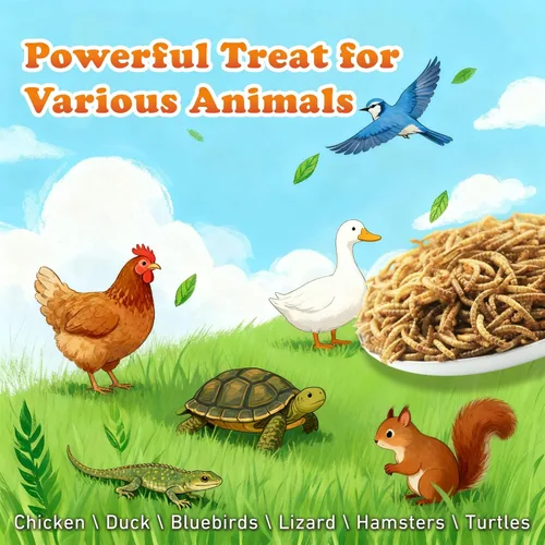 Miniatura 5 de Amzey Gusanos secos de harina de 2 libras, gusanos de comida 100% naturales para pollo y pájaros, alimento orgánico para gallinas ponedoras, alto