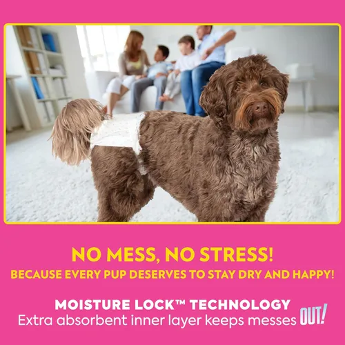 Miniatura 6 de OUT! Petcare - Pañales desechables para perros hembra, entrenamiento para ir al baño, pañales para perros, entrenamiento de cachorros, suministros