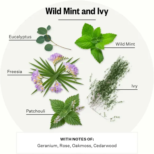 Miniatura 36 de Apotheke Velas perfumadas exclusivas para el hogar, lavanda Hinoki, 10.5 onzas, cera de soja, no tóxica, tarro grande blanco, velas de lujo regalos