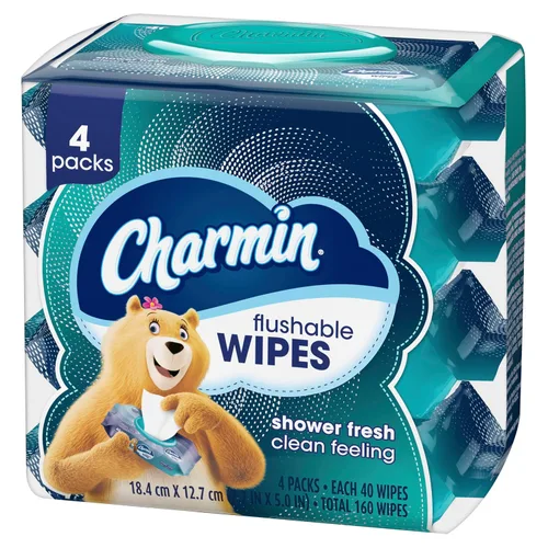 Miniatura 8 de Charmin Toallitas desechables, 160 toallitas en total (4 paquetes de 40)