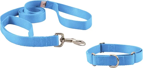 Country Brook Petz - Collar para perro de nailon resistente Martingala azul hielo y correa de doble asa (1 pulgada, grande)
