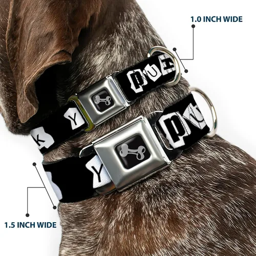 Miniatura 2 de Collar de perro hebilla de cinturón de seguridad punk you negro blanco 9 a 15 pulgadas 1.0 pulgadas ancho